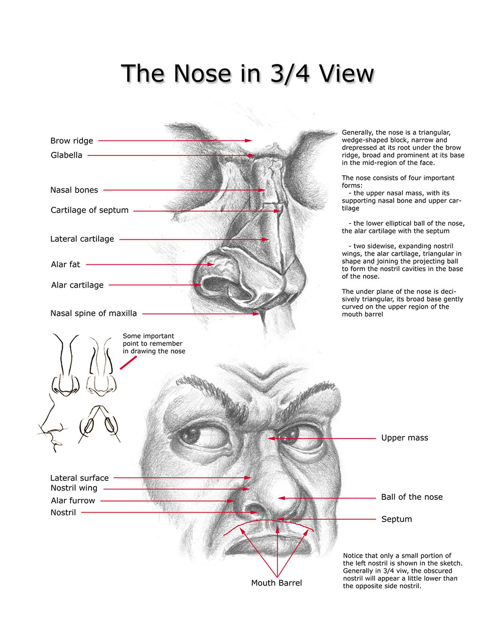 Forensic Art Tips and Instructional Techniques | Forensic Art World ...